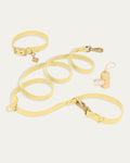 Dog Collar Kit product image 1