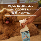 Pet Stain & Odor Remover product image 4