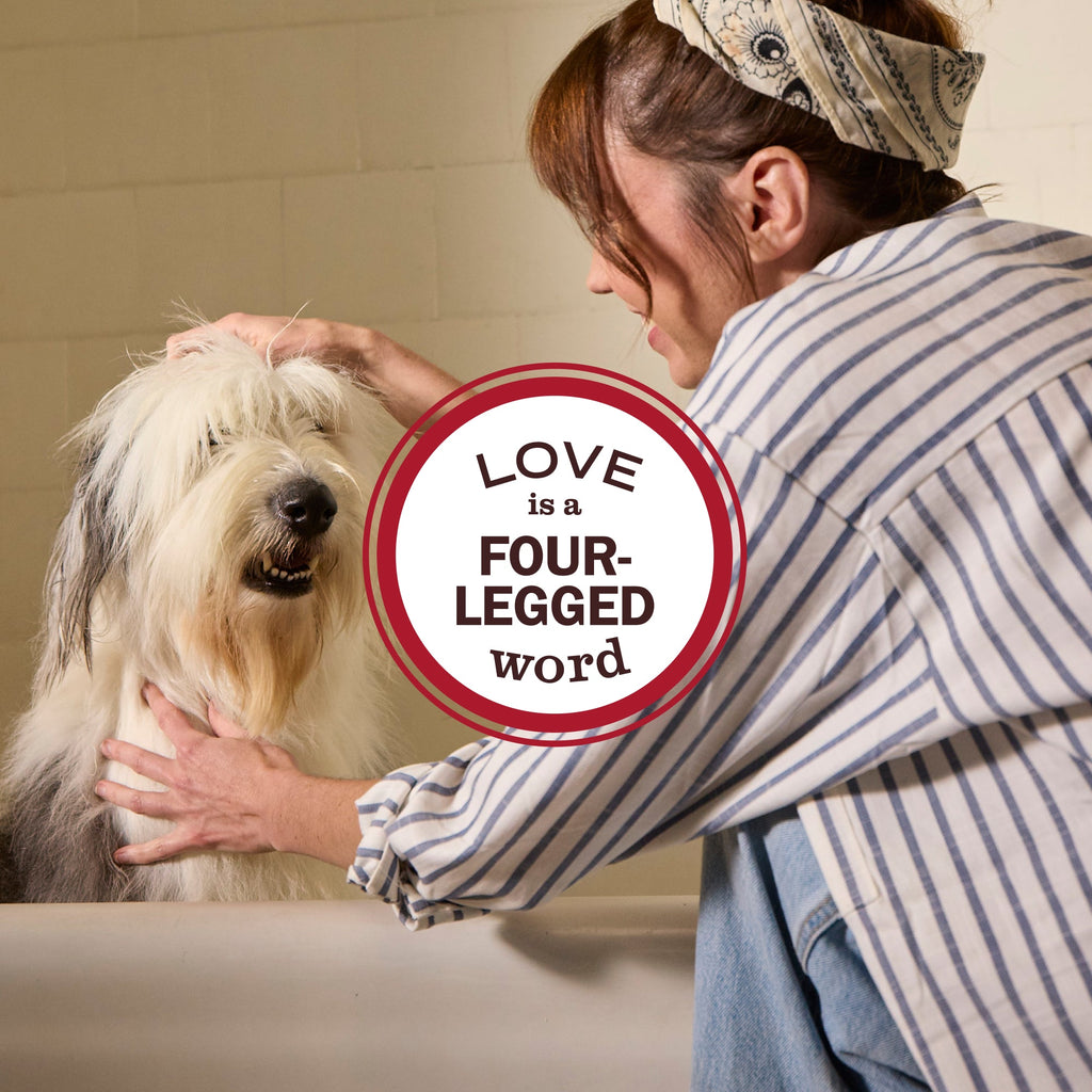 Dog Deodorizing Spray product image 9