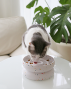 Reversible Slow Feeder Bowl product image 4