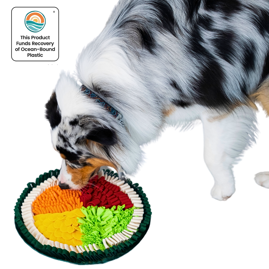 Pet Snuffle Mat product image 1