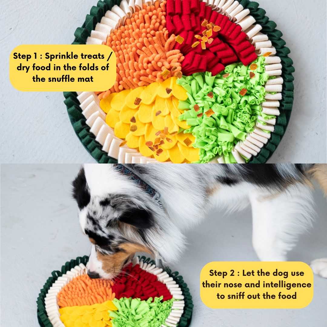 Pet Snuffle Mat product image 4