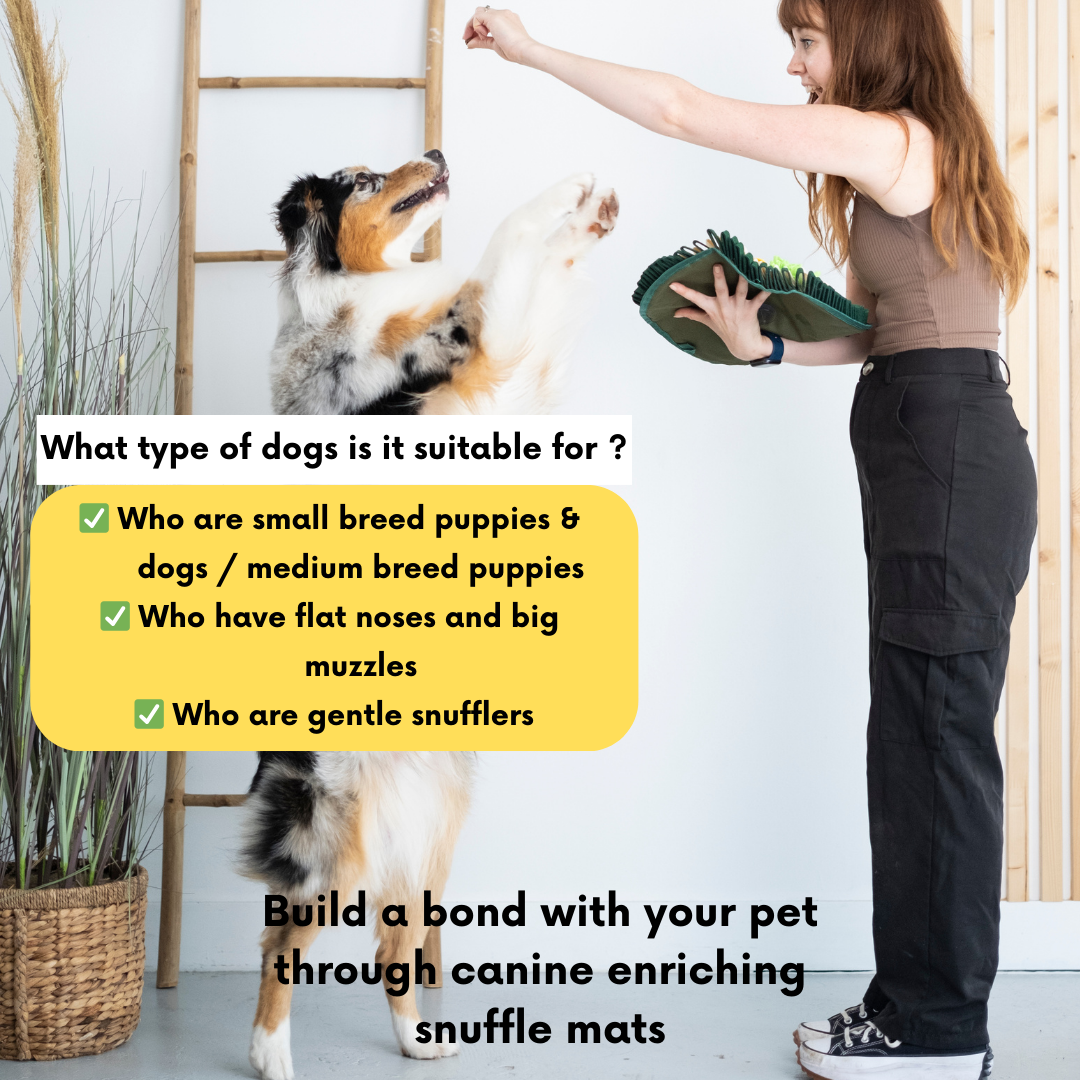 Pet Snuffle Mat product image 7