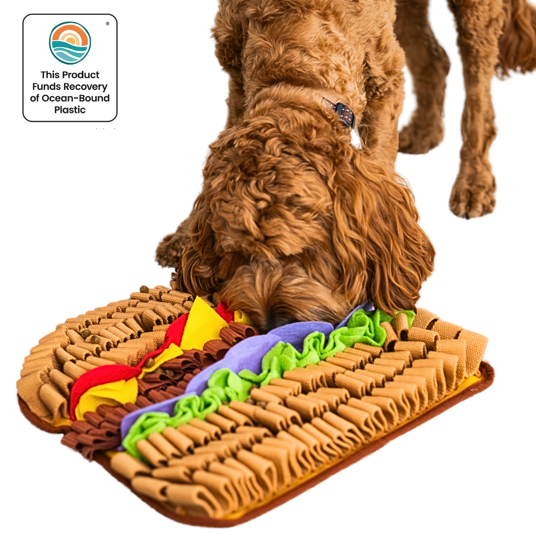 Pet Snuffle Mat product image 1
