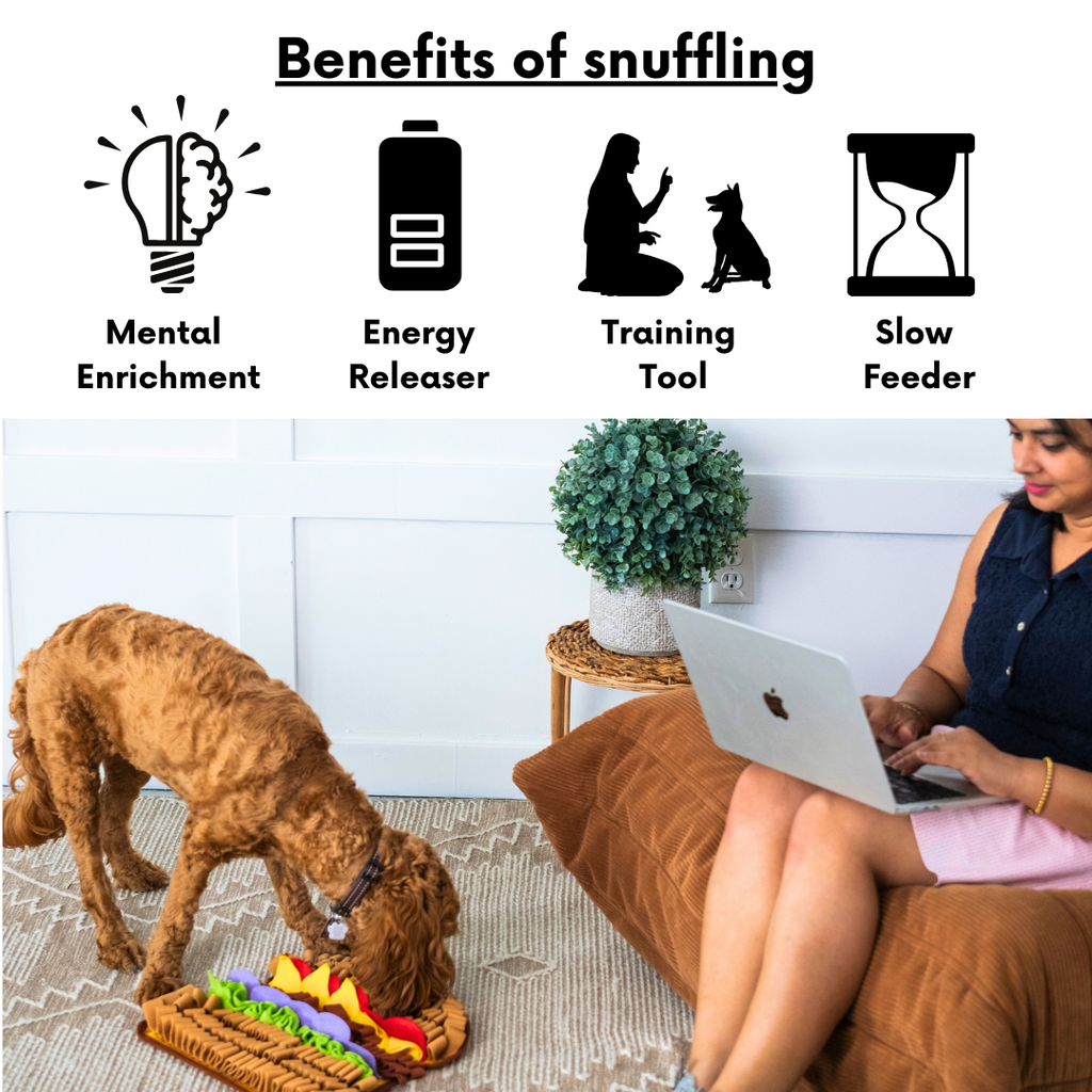 Pet Snuffle Mat product image 3