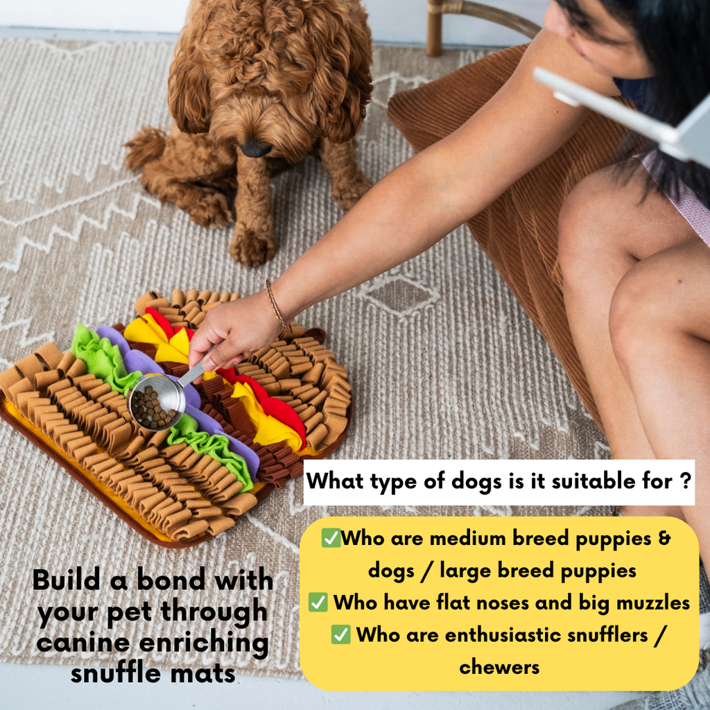 Pet Snuffle Mat product image 6