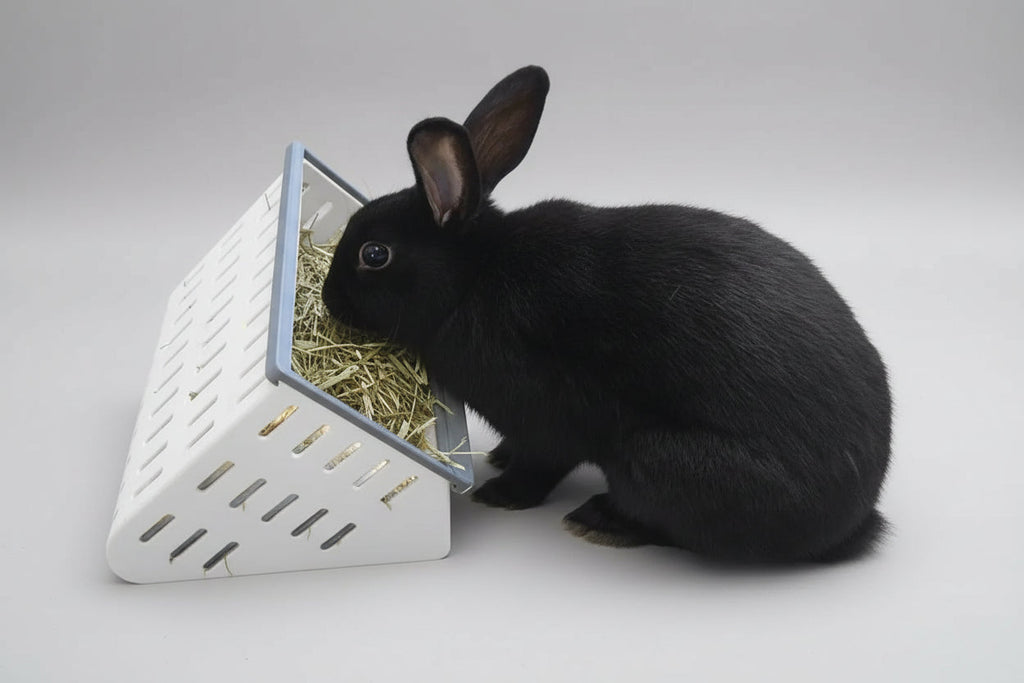Rabbit Hay Feeder & Roller Bundle product image 2