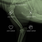 Dog Joint Supplement Powder product image 5
