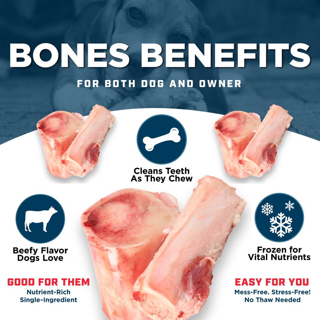 Frozen Beef Marrow Bone Dog Treats product image 2