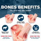 Frozen Beef Marrow Bone Dog Treats product image 2
