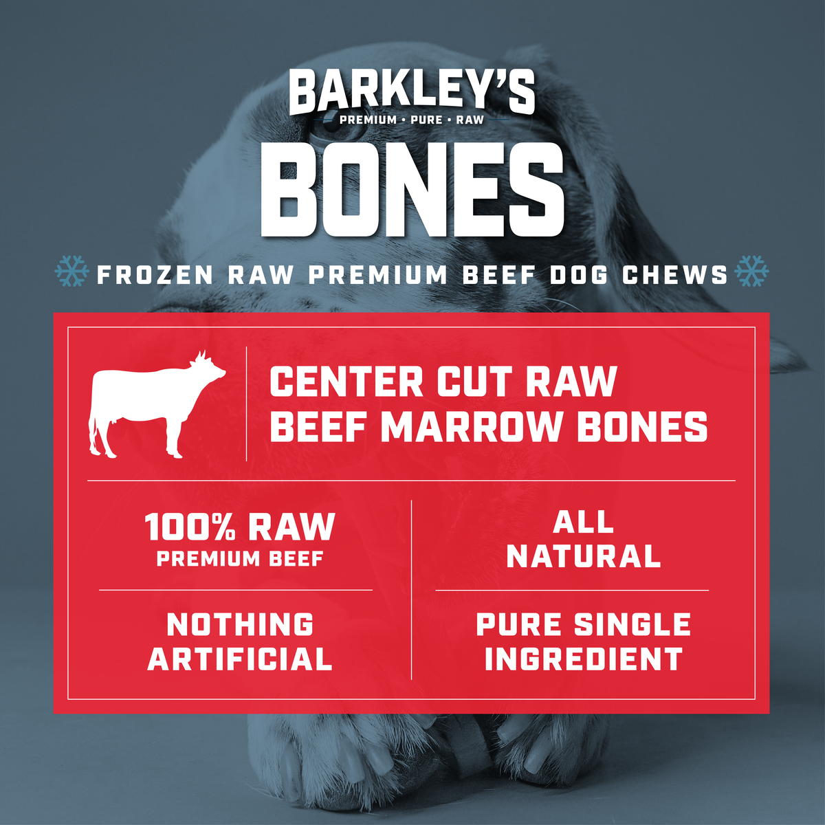 Frozen Beef Marrow Bone Dog Treats product image 3