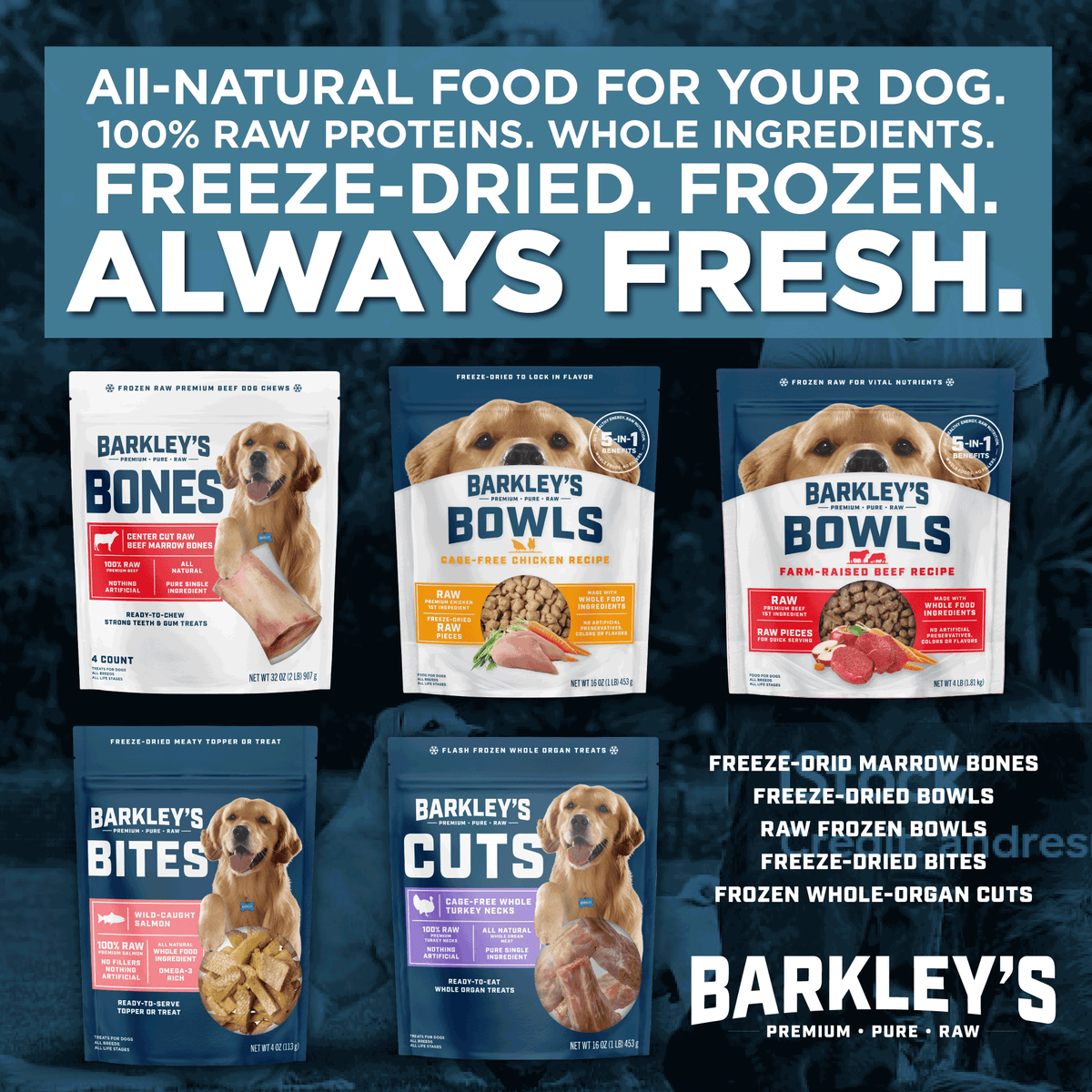 Frozen Beef Marrow Bone Dog Treats product image 9