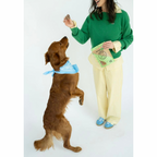Bison Tendon Chews product image 9