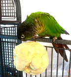 Bird Mineral Block product image 2