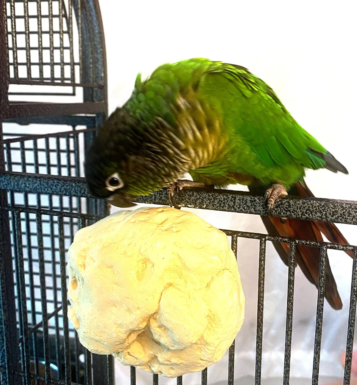 Bird Mineral Block product image 2