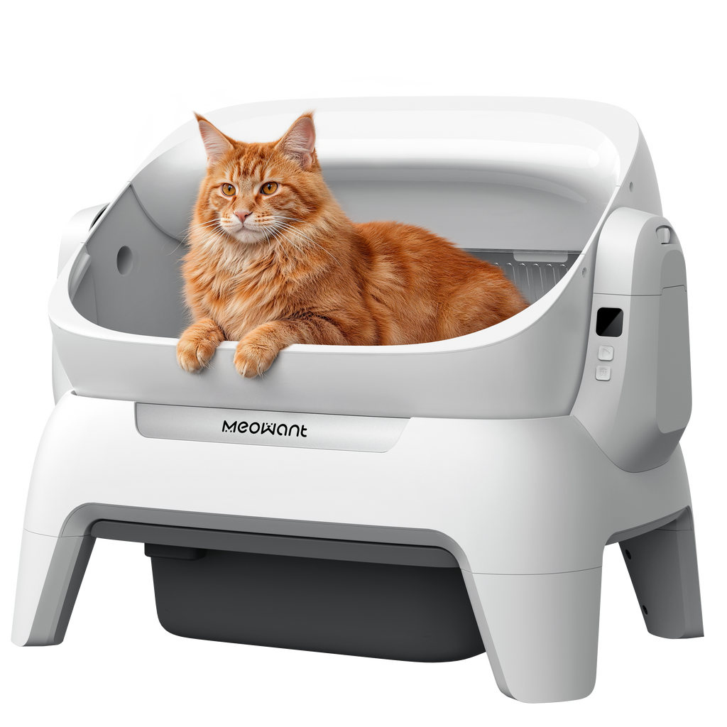 Automatic Cat Litter Box product image 1