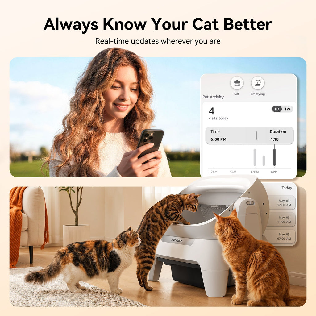 Automatic Cat Litter Box product image 7