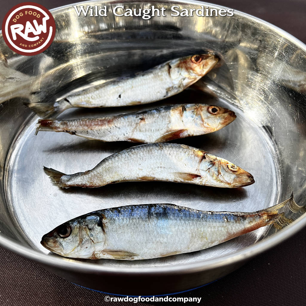 Whole Sardines product image 1