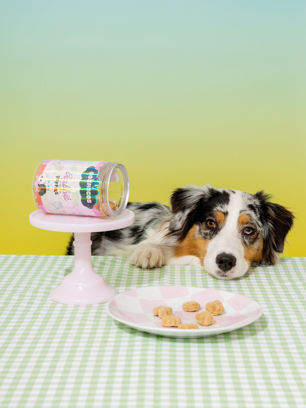 Freeze-Dried Pet Treats product image 4