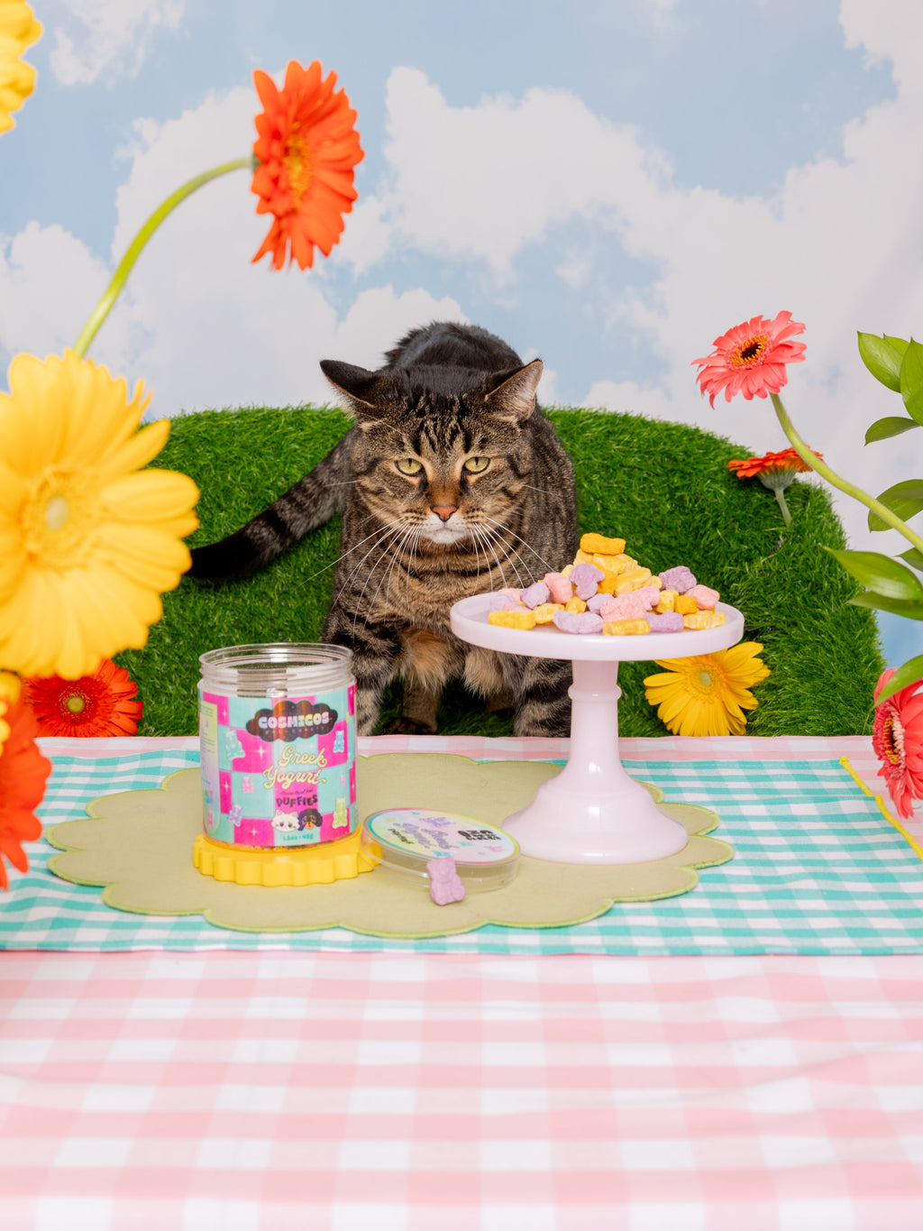 Freeze-Dried Pet Treats product image 3
