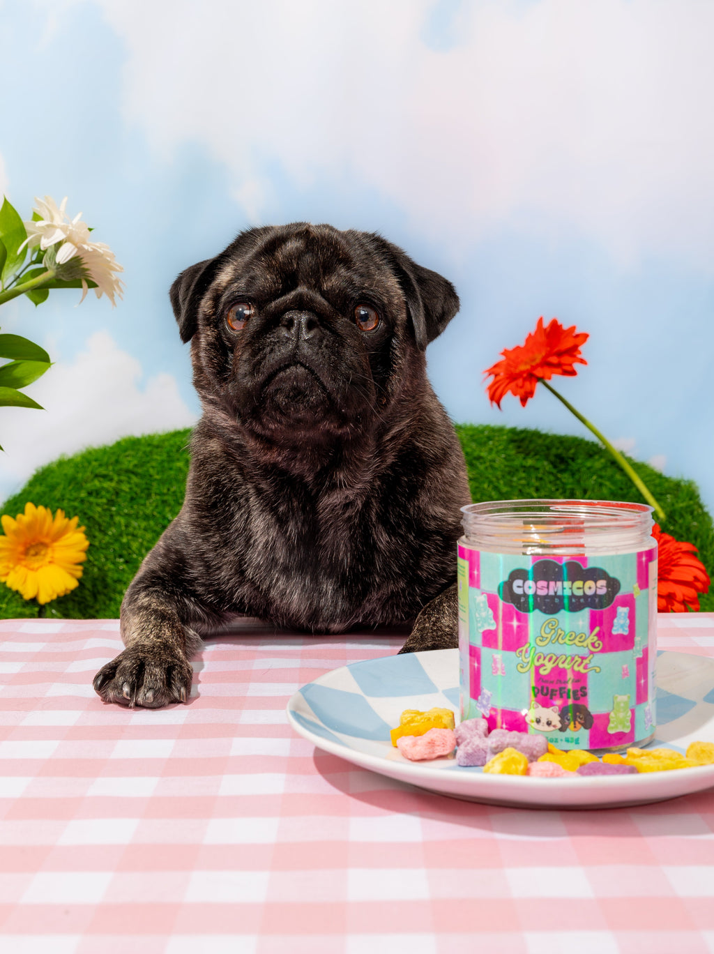 Freeze-Dried Pet Treats product image 4