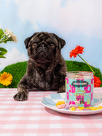 Freeze-Dried Pet Treats product image 4