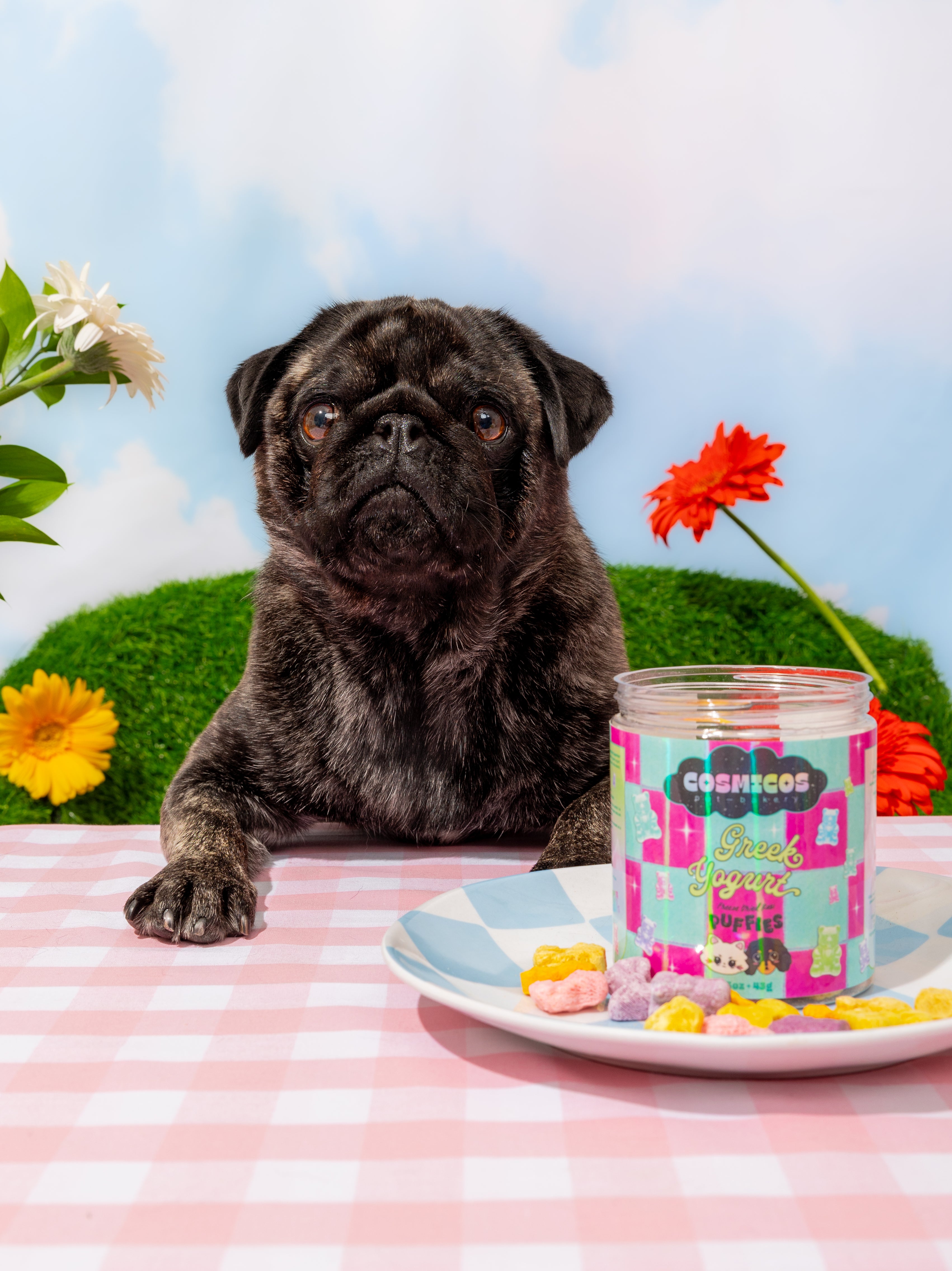Freeze-Dried Pet Treats product image 4