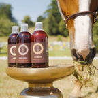 Equine Skin Supplement product image 3