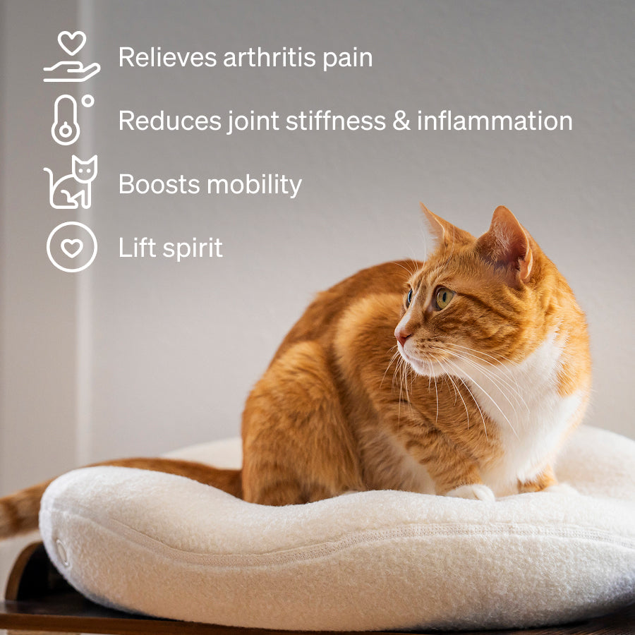 Orthopedic Cat Bed product image 2