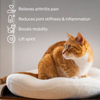 Orthopedic Cat Bed product image 2