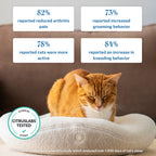Orthopedic Cat Bed product image 3