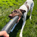 Dog Chew Toy product image 5