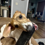 Dog Chew Toy product image 6