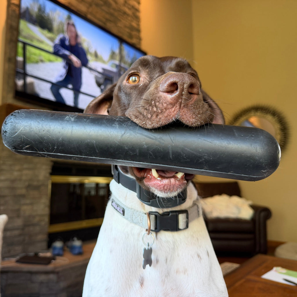 Dog Chew Toy product image 7