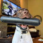 Dog Chew Toy product image 7