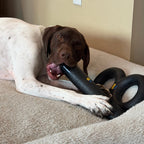 Dog Chew Toy product image 8