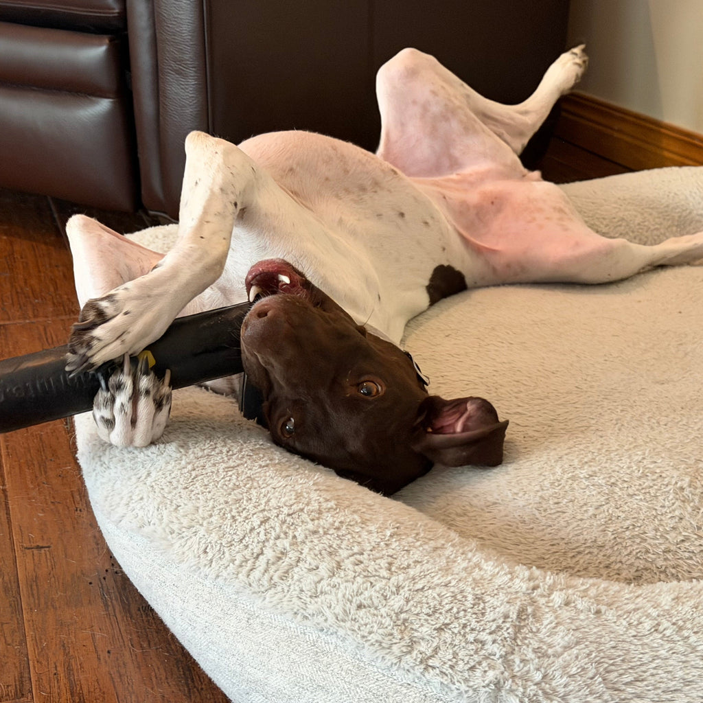 Dog Chew Toy product image 9