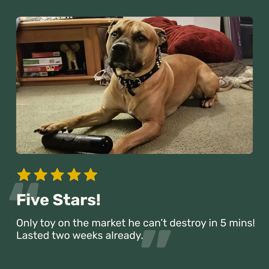 Dog Chew Toy product image 10
