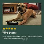Dog Chew Toy product image 10