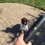 Dog Chew Toy product image 15