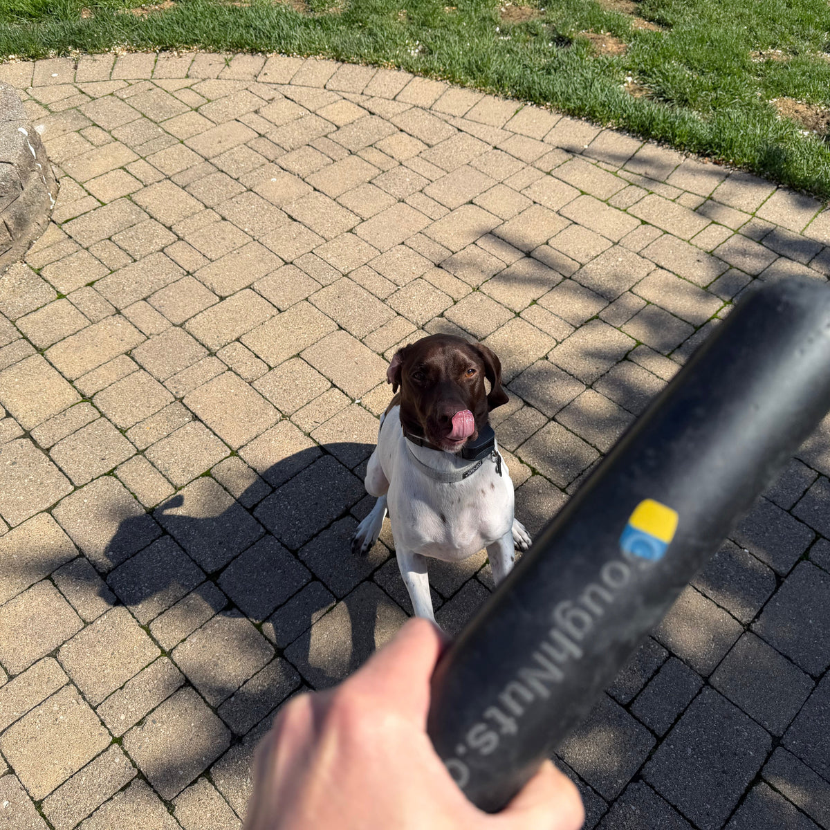 Dog Chew Toy product image 15