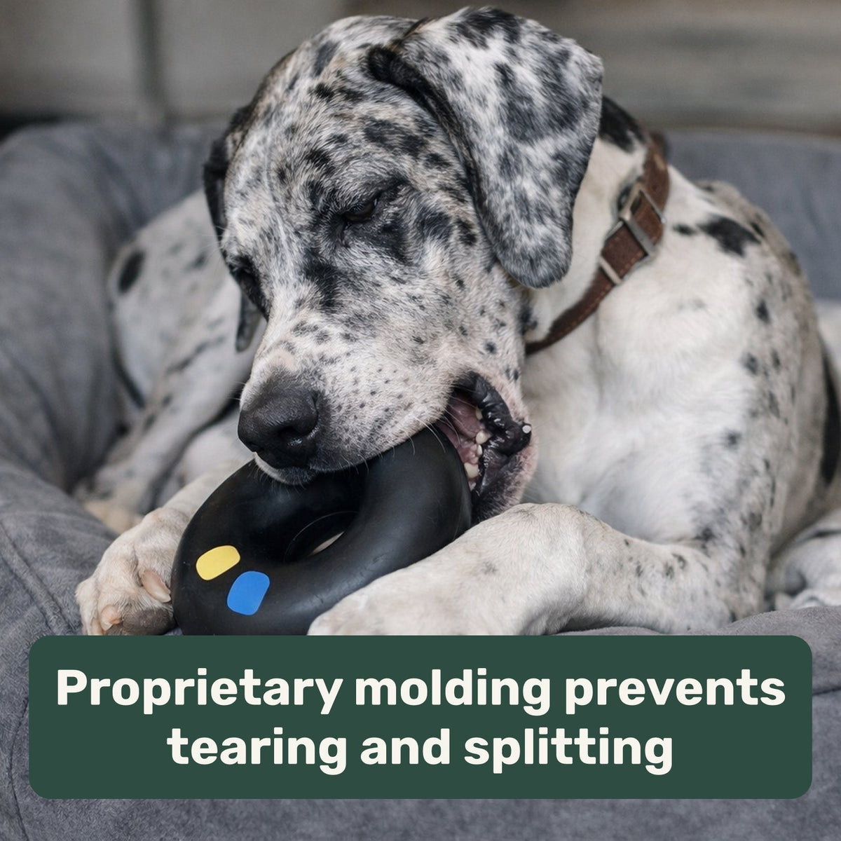 Dog Chew Ring product image 5