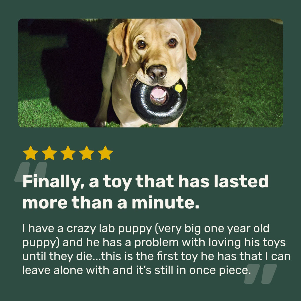 Dog Chew Ring product image 6