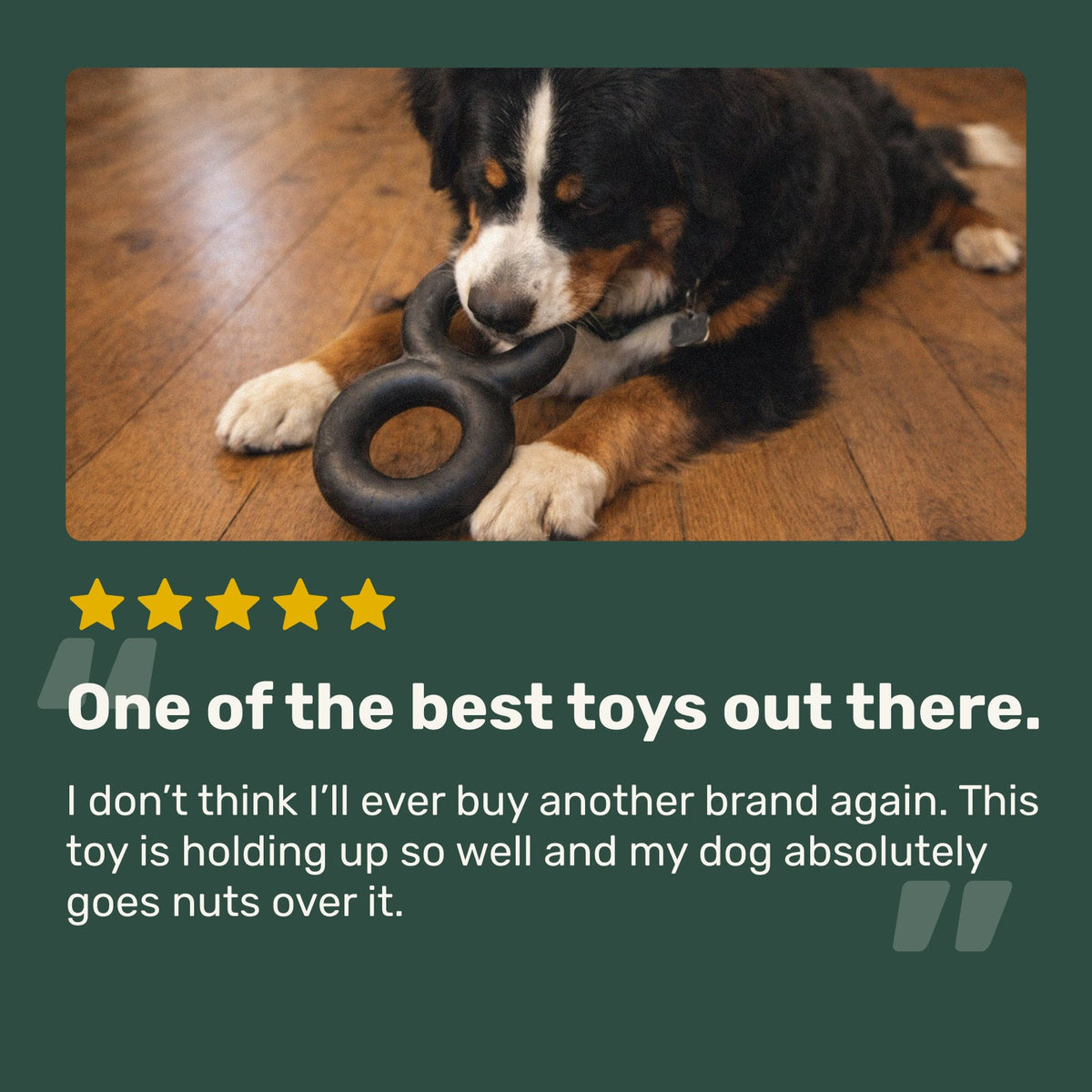 Dog Tug Toy product image 4