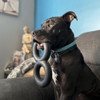 Dog Tug Toy product image 7