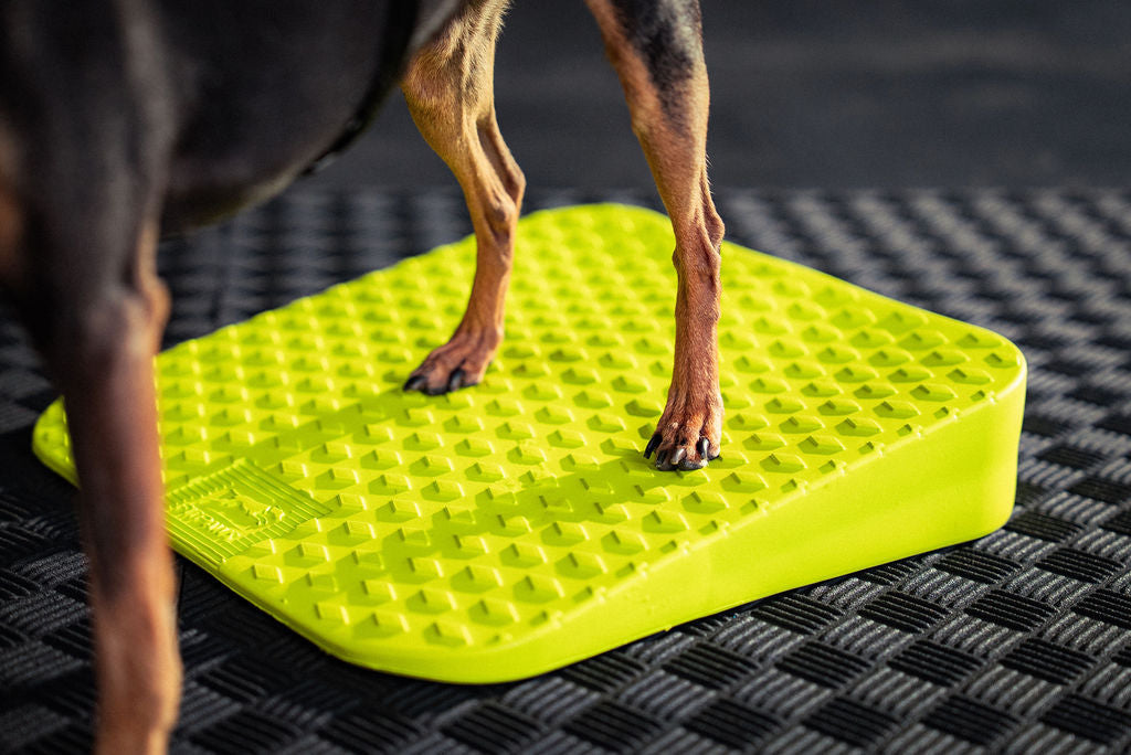 Dog Balance Ramp product image 5