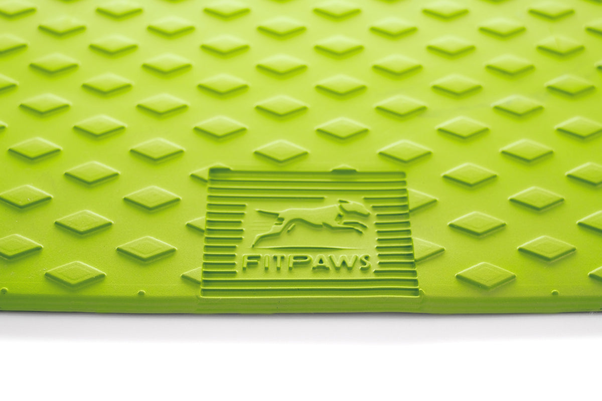 Dog Balance Ramp product image 6