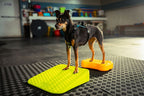 Dog Balance Ramp product image 9
