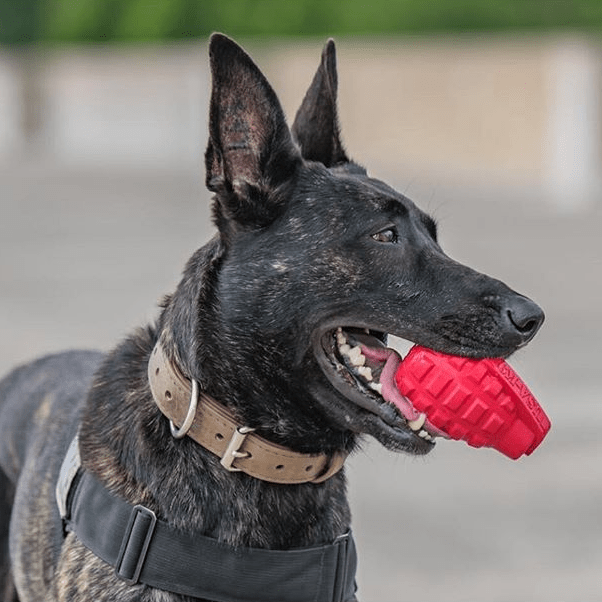 Treat Dispensing Dog Toy product image 5