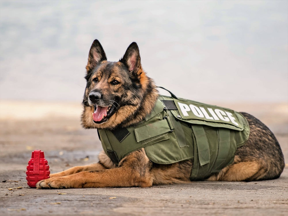 Treat Dispensing Dog Toy product image 10